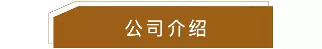 discovery招聘,discover招聘