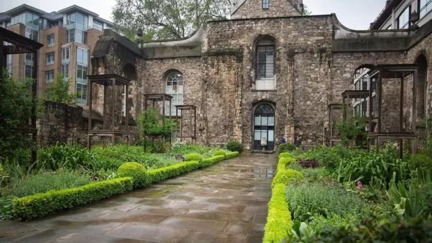 浼︽暒缁垮湴鑺卞洯,浼︽暒缁垮湴鑺卞洯瑙嗛