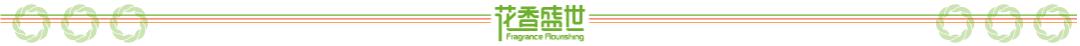 中国小篮球运动规则图解,小篮球基础技术动作规范