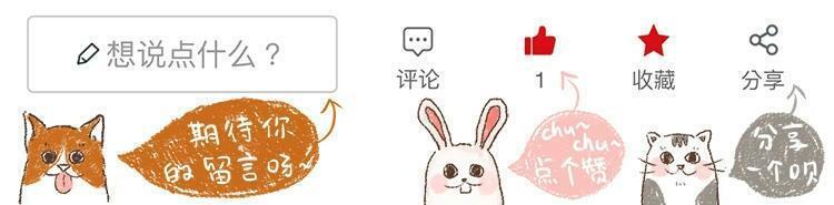 土拨鼠打架视频素材,土拨鼠打架画面被揭露