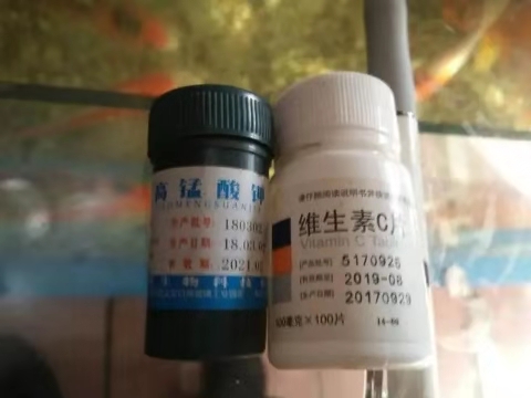 高锰酸钾给鱼缸消毒多久能够放鱼,鱼缸内放高锰酸钾对鱼有没有伤害