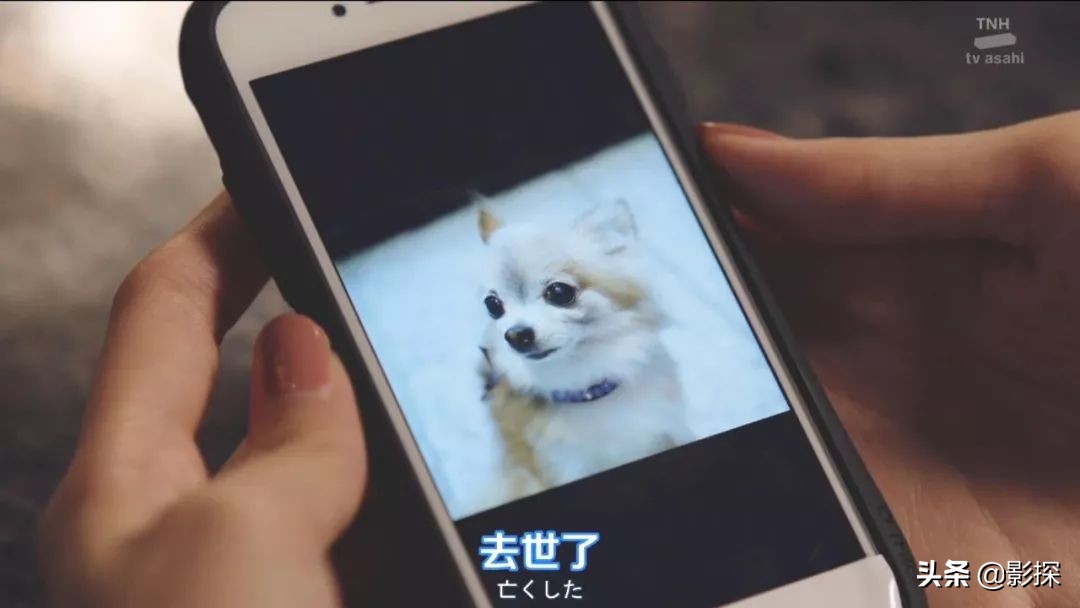 上头沙雕电视剧,沙雕上头的影视剧