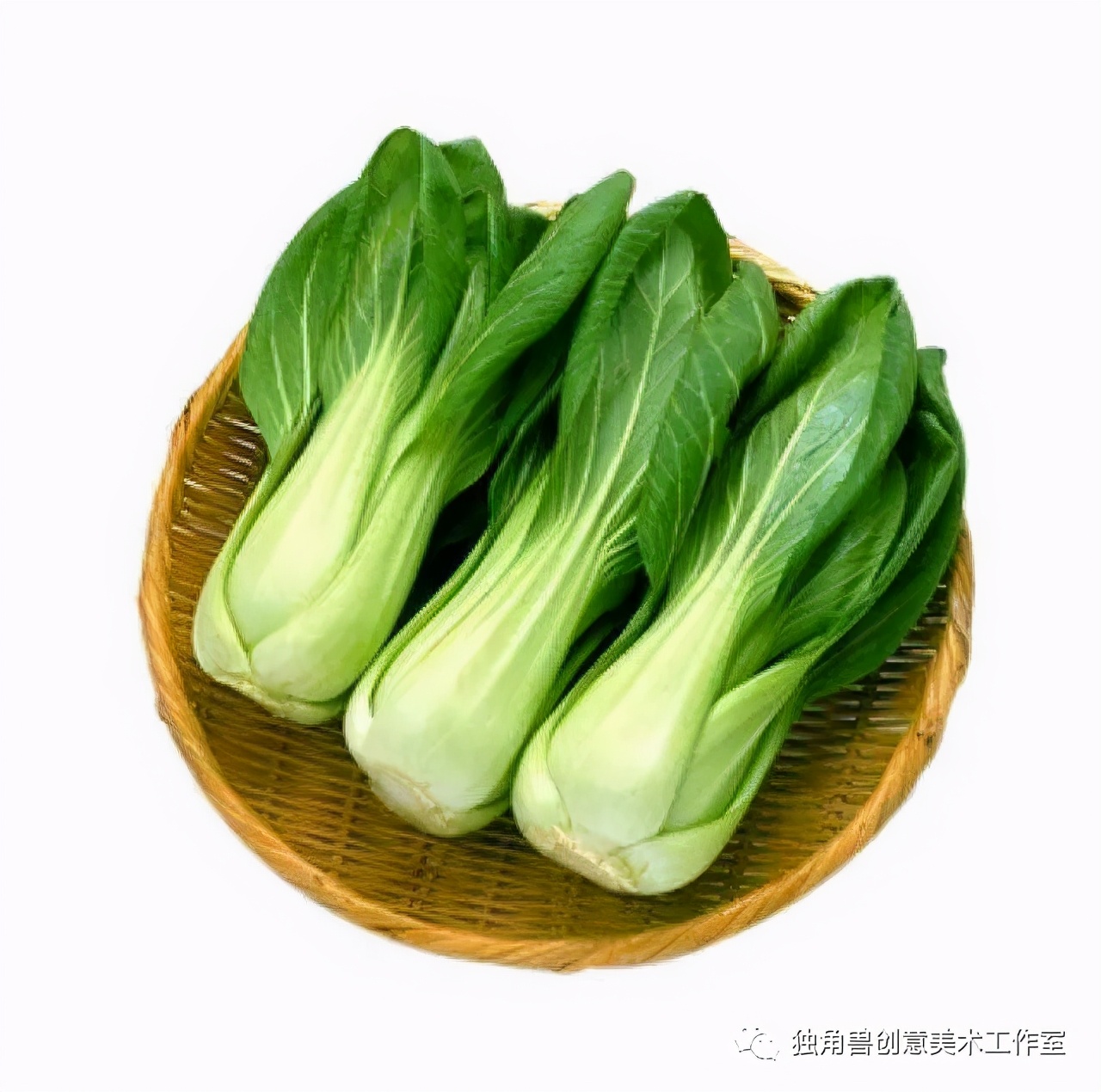 绿油油青菜绘画,蔬菜的绘画教程