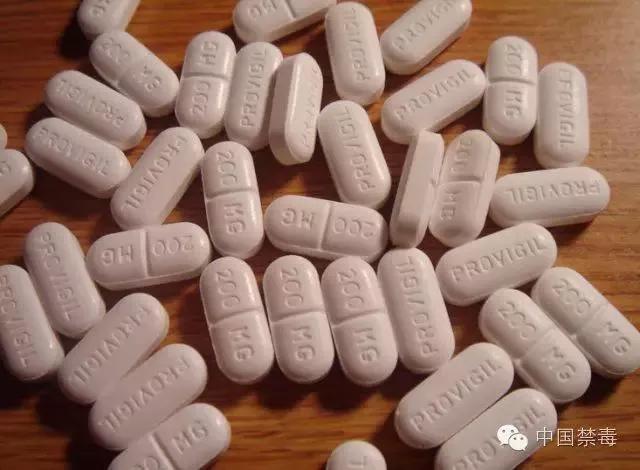 慌了慌了！开学就考试，好想要一片记忆面包！结果越吃越慌