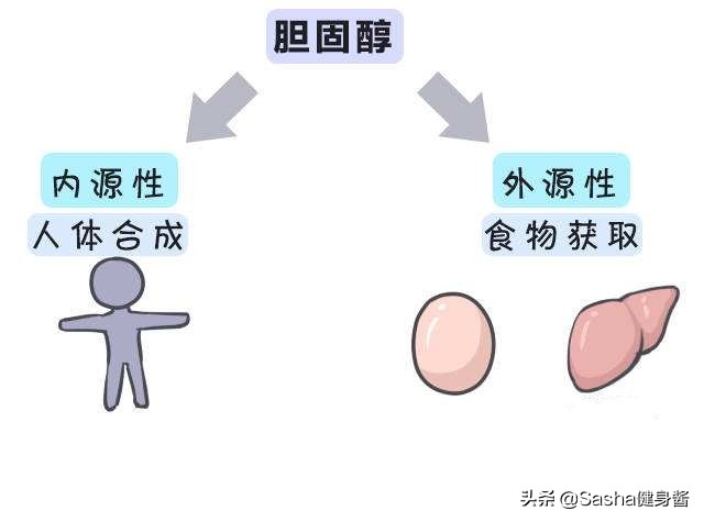 鸡蛋减肥的正确做法,鸡蛋减肥法更合适懒人的减肥方法