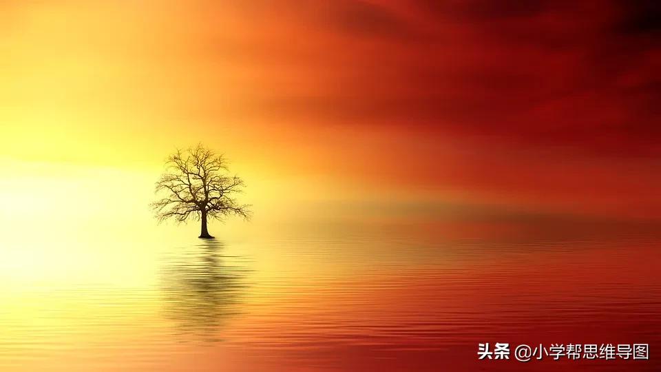 优秀文章小实验300个字,化解矛盾优秀文章