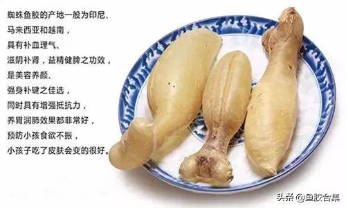 花胶一共有几种类型的品种,花胶种类中哪种最好