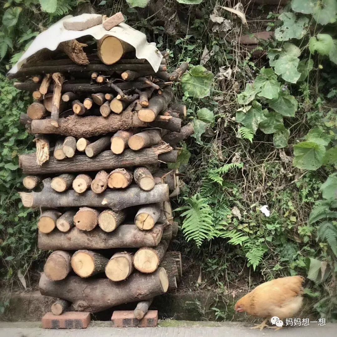 10岁左右的益智亲子玩具,合适在家玩的8种益智玩具推荐