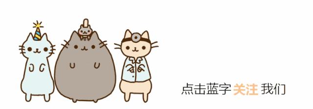 哺乳期的猫咪能不能驱虫,哺乳期的狗狗能够驱虫吗
