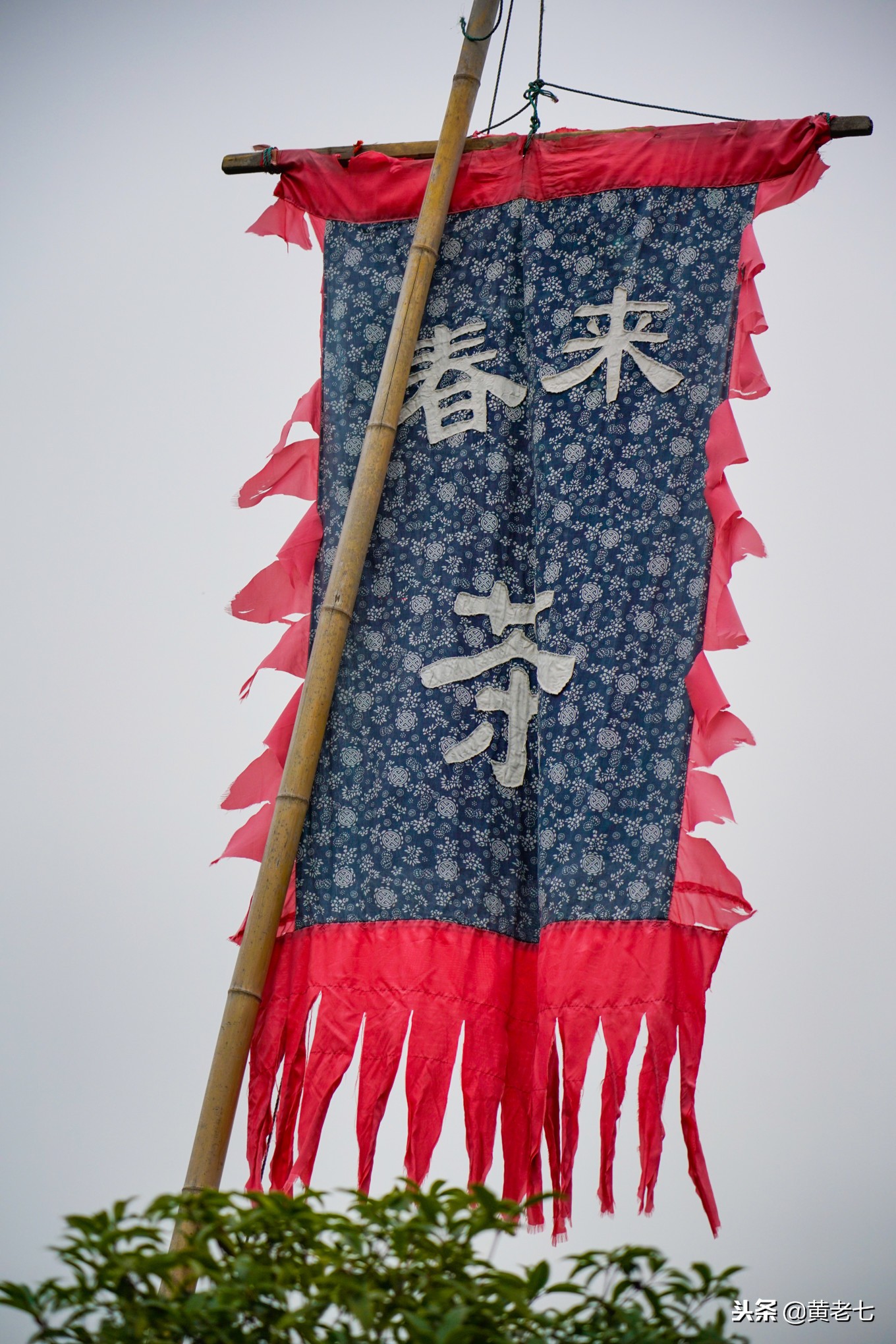 带你走进沙家浜景区,现在沙家浜景区