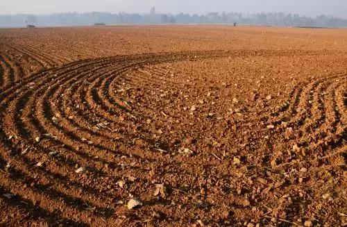 生僻字原唱完全版抖音,抖音网红生僻字是谁唱的