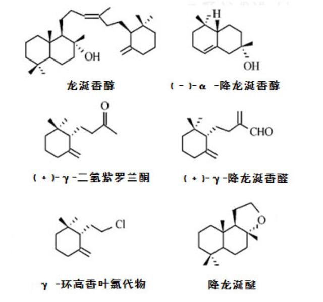 鲸排泄物的香气背后的价值之谜,诡异的鲸