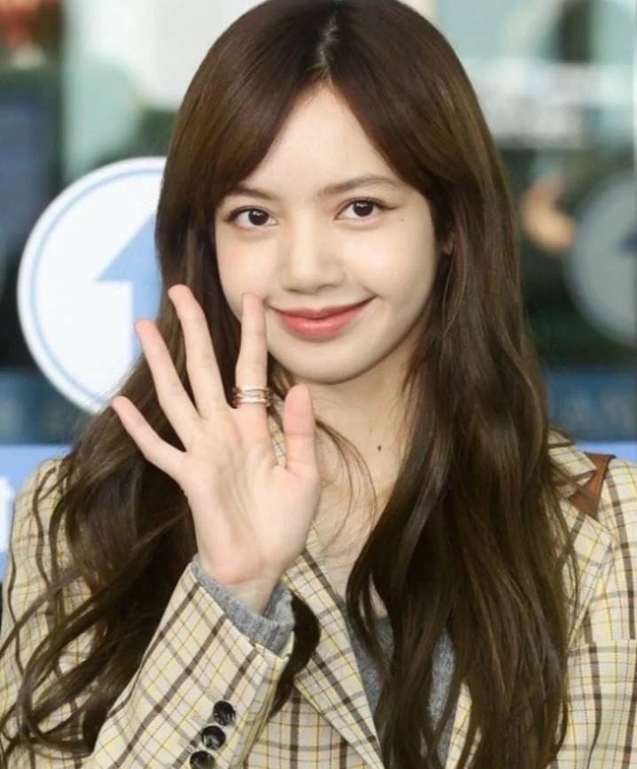 发色越掉越好看的颜色lisa同款,越掉色越好看发色lisa同款