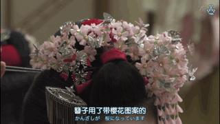 吸猫最高境界图片,吸猫最高境界完全视频