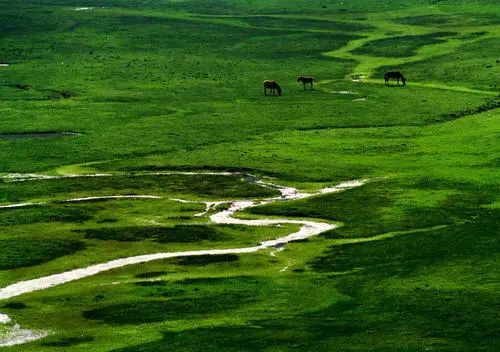 昆明周边合适三四天玩的景点,五一昆明周边自驾游