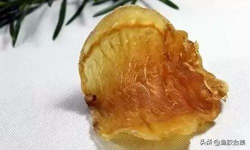 花胶一共有几种类型的品种,花胶种类中哪种最好