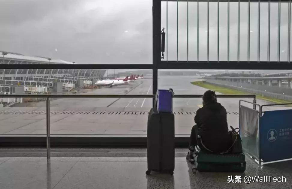 中美集装箱运费突破20000美元,中美航线运费暴涨的原因