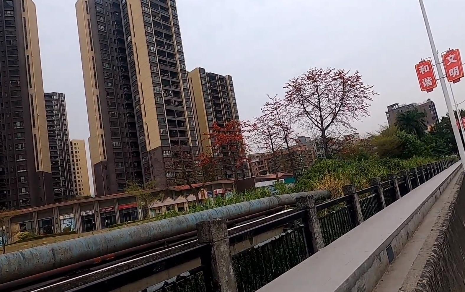 樟木头小香港好玩的地方,走进素有小香港之称的东莞樟木头