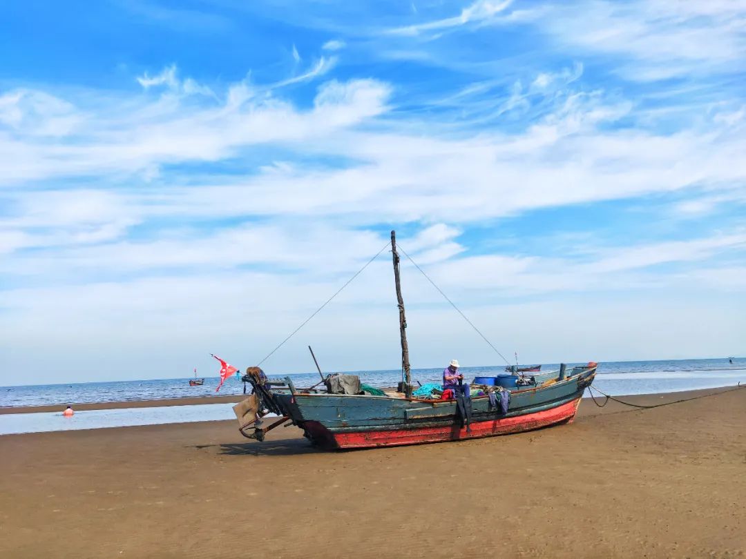 2022春节大连本命年免费景点,大连免费景点排行榜前十名