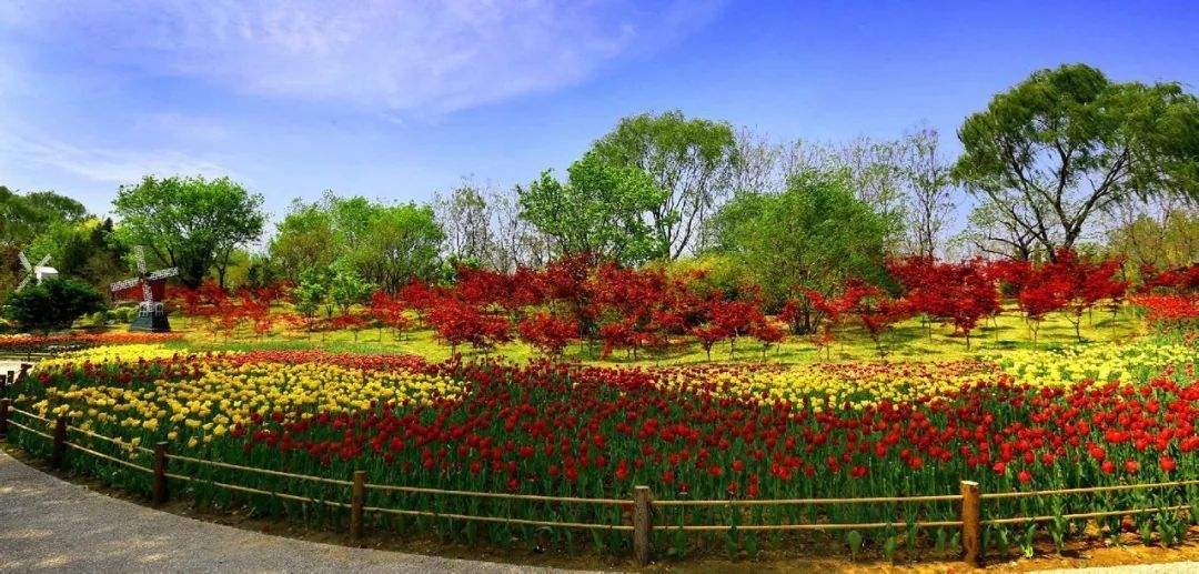 山东济南4a景点,济南市华山旅游景区