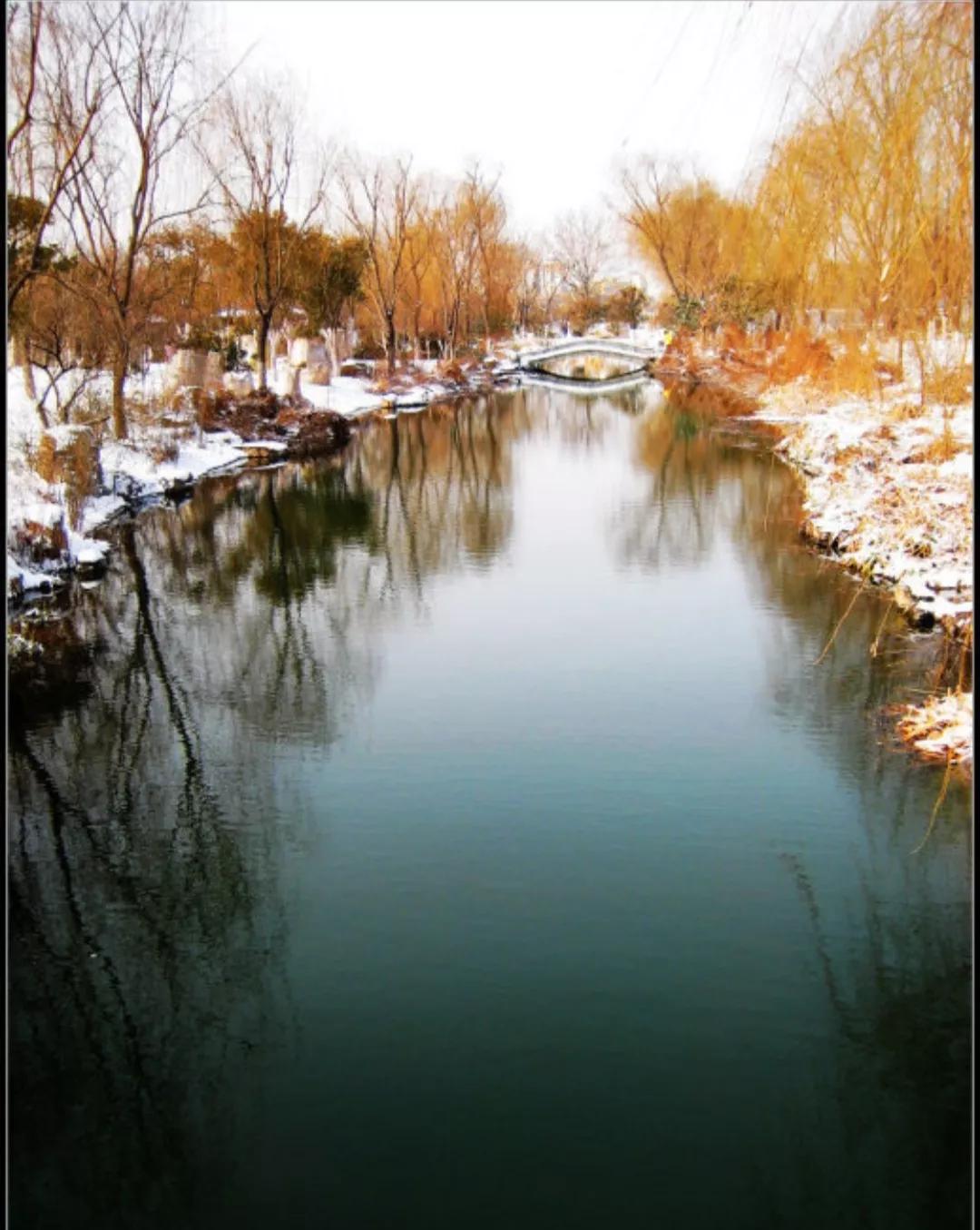 济南的冬天朗诵,济南的冬天文章