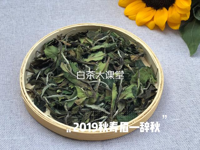 为白茶中的茶梗平反，虽然不好看，对味道却大有贡献