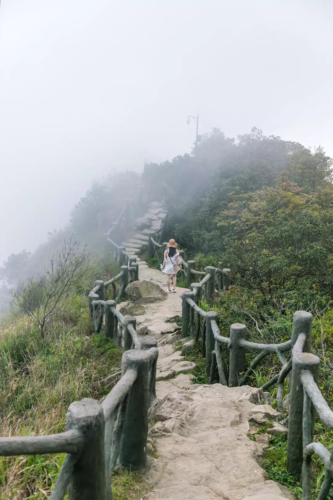 深圳十大一日游景点,深圳十大免费公园景点大全