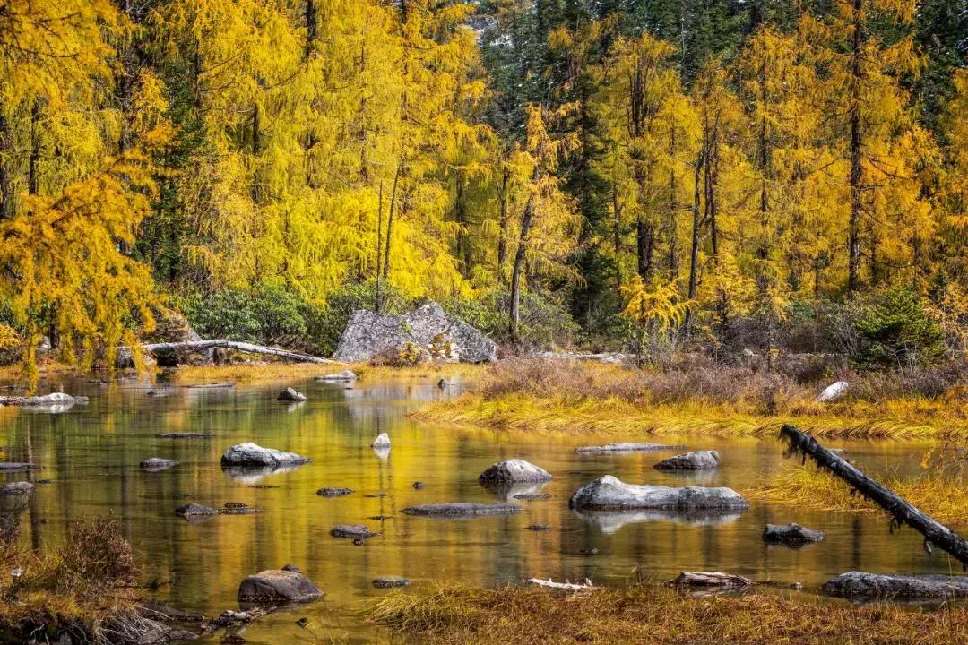 11月合适去旅行的著名风景推荐,10月11月合适旅游的地方