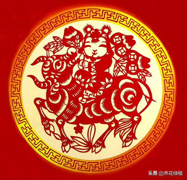 2021年是寡年，俗话：“寡年不见春，地收人不收”，什么意思
