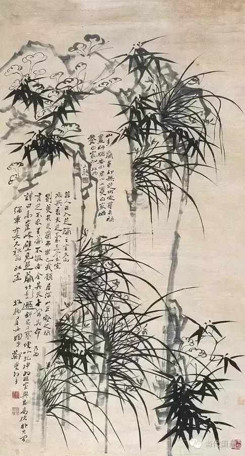 郑板桥画的是兰花还是兰草,郑板桥画的兰
