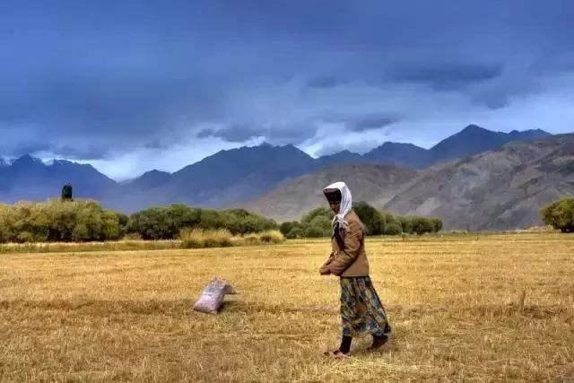 新疆喀什到巴基斯坦需要怎么过去,喀什通巴基斯坦公路