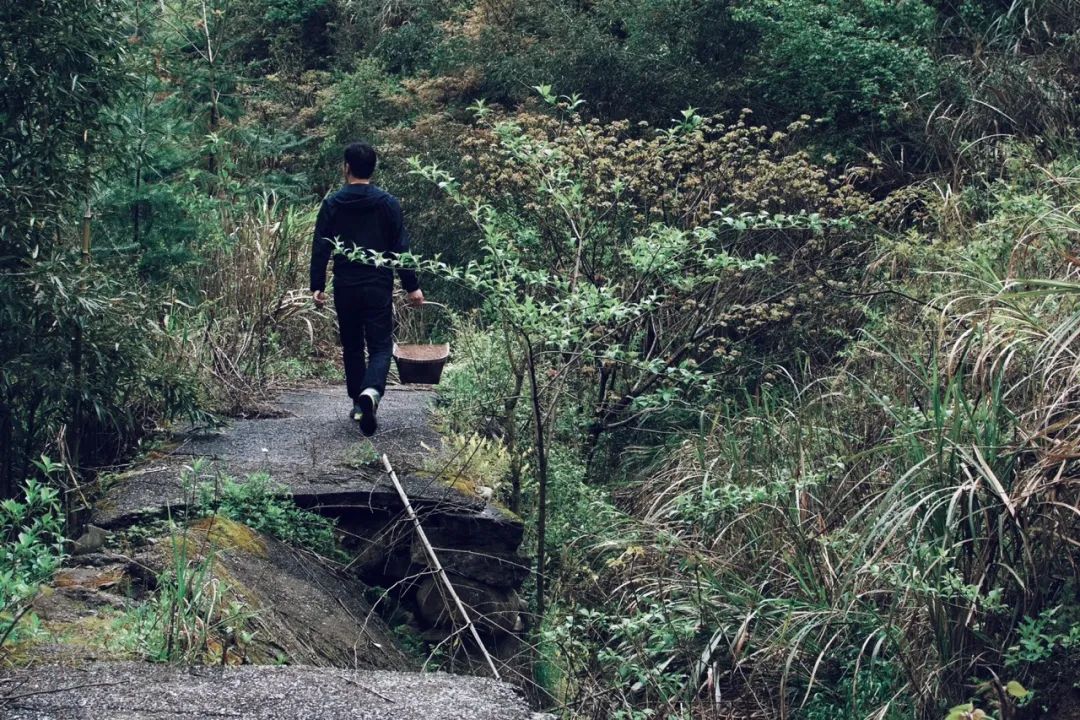 民宿管家招募,民宿管家点亮乡野生活的魔法师