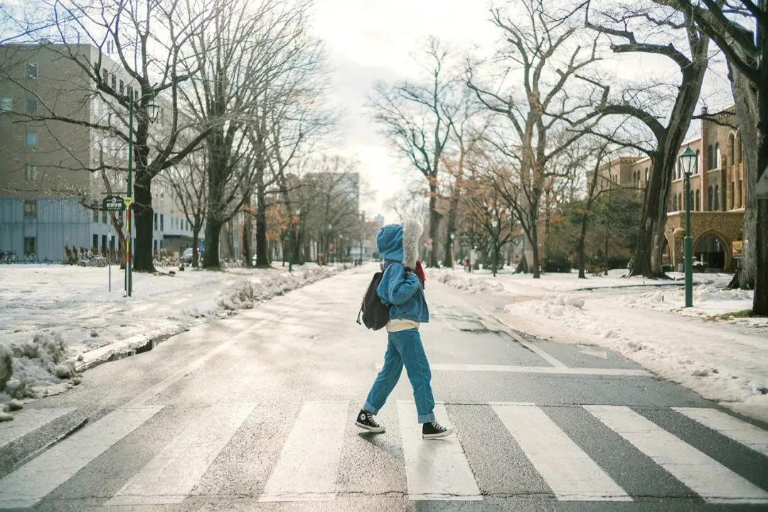 遇见世界|离开北海道的第224天