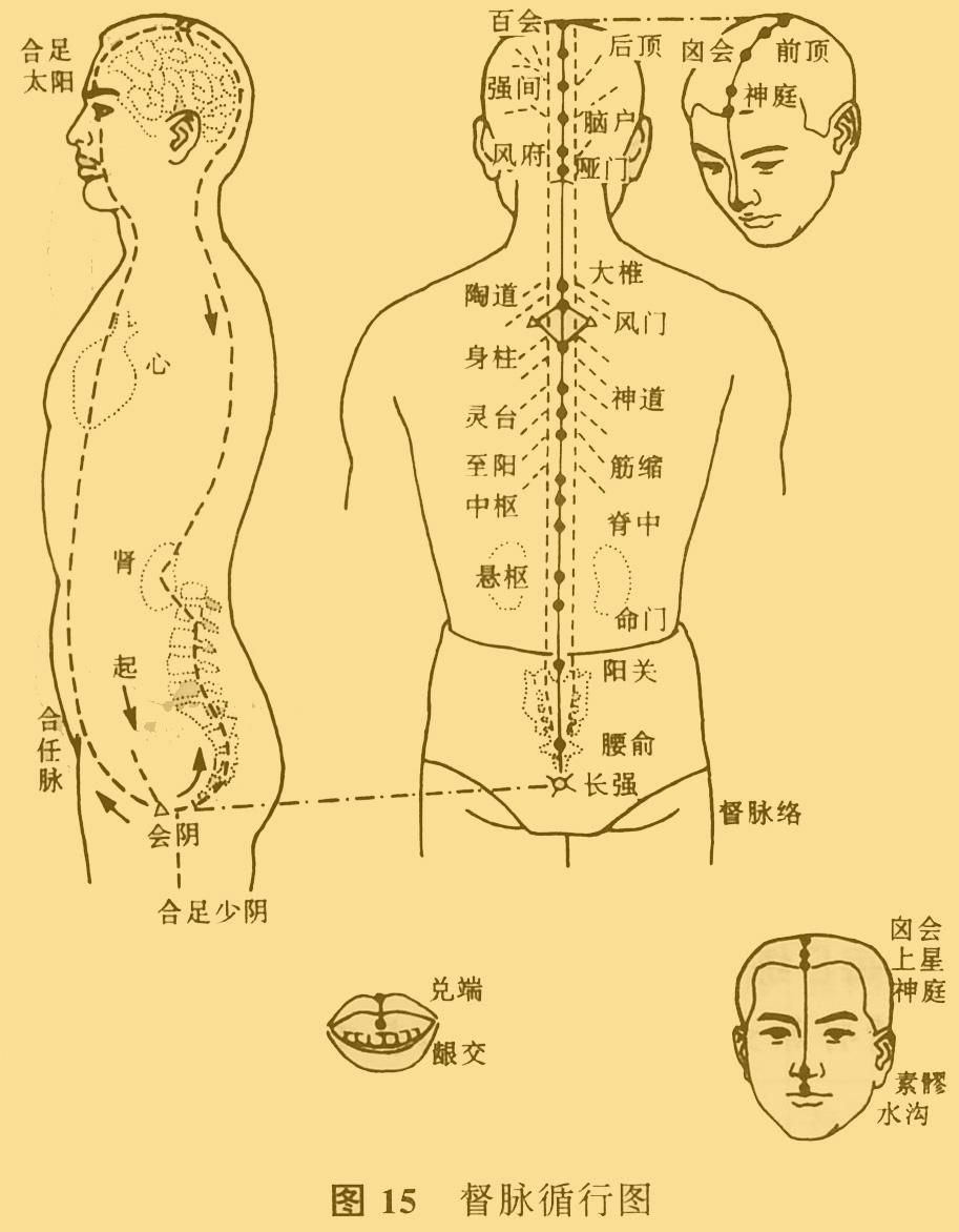 脉象与针灸应用,络脉的治疗功能