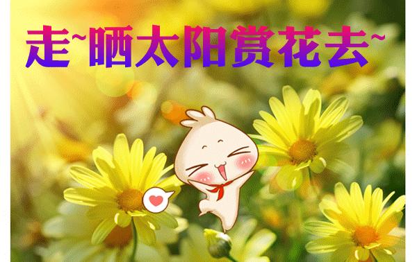 科普：晒太阳能补钙，隔着玻璃晒太阳就没用了哦
