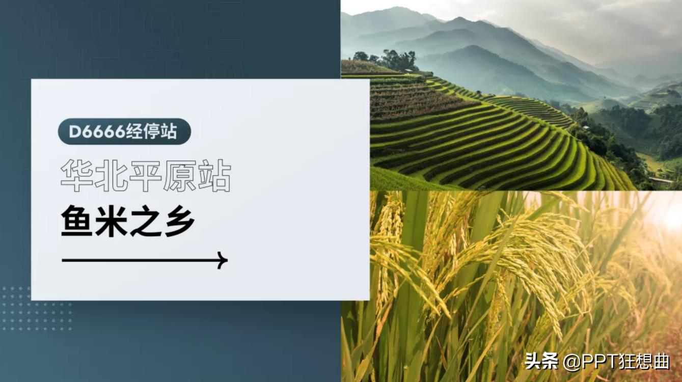 ppt图片排版布局改善前后图片对比,ppt图片排版的神仙操作
