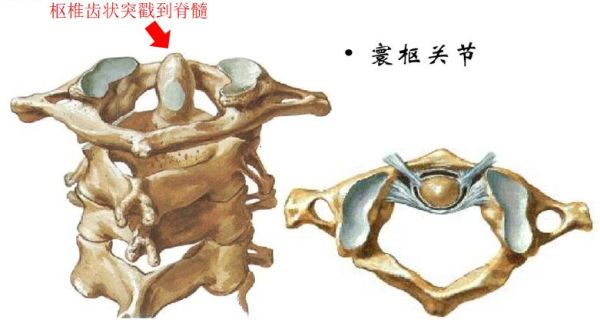 清风计划项目,清风计划靠谱吗