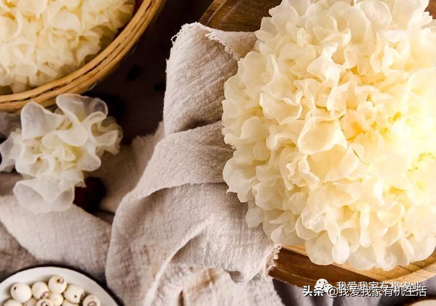 怎么把银耳煮得软糯出胶,银耳怎么煮才容易出胶的窍门