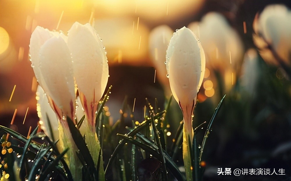 戾气太重下的为人处世之道,骨子里的教养害人之心不可有