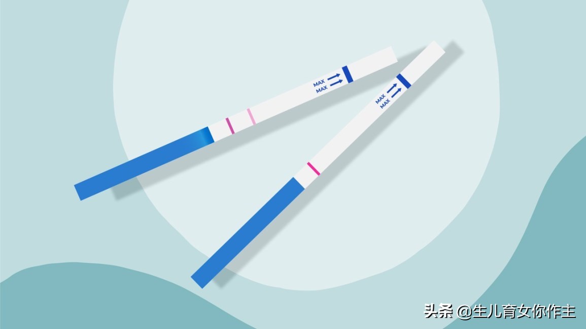 准确测定排卵日的N种方法（上）