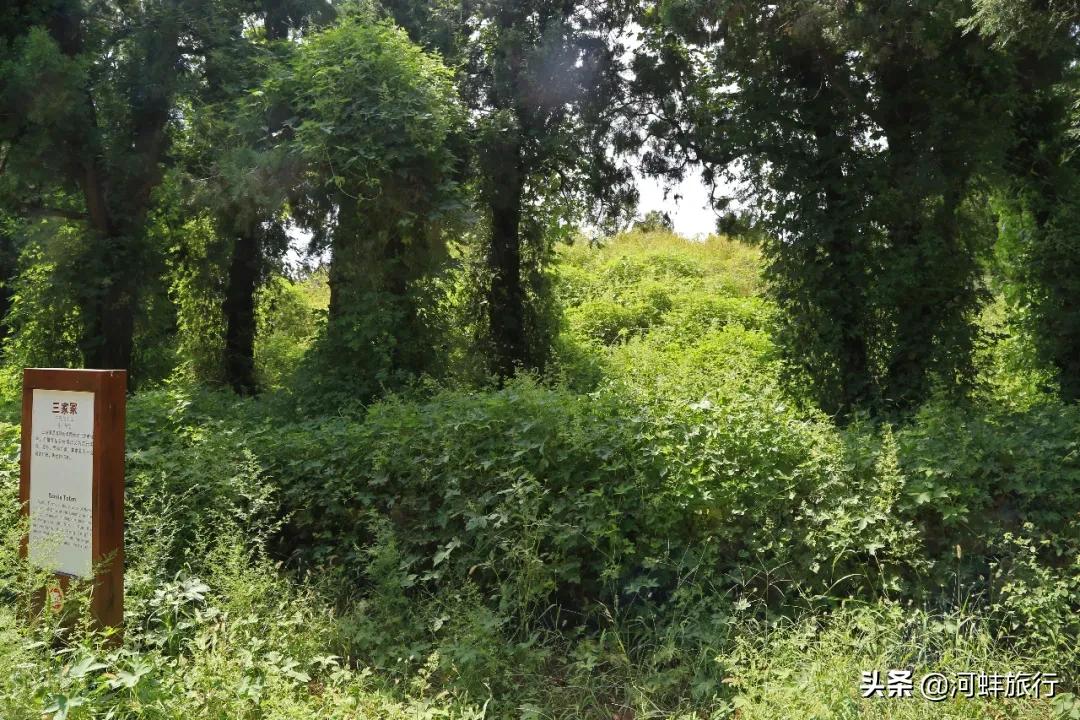 山东曲阜孔府孔庙孔林的相关资料,揭秘山东曲阜汉鲁王墓