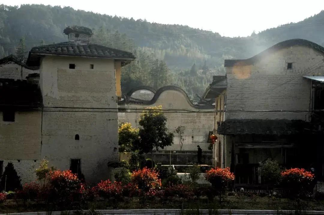 古田县乡村振兴示范点,古田县未来发展方向