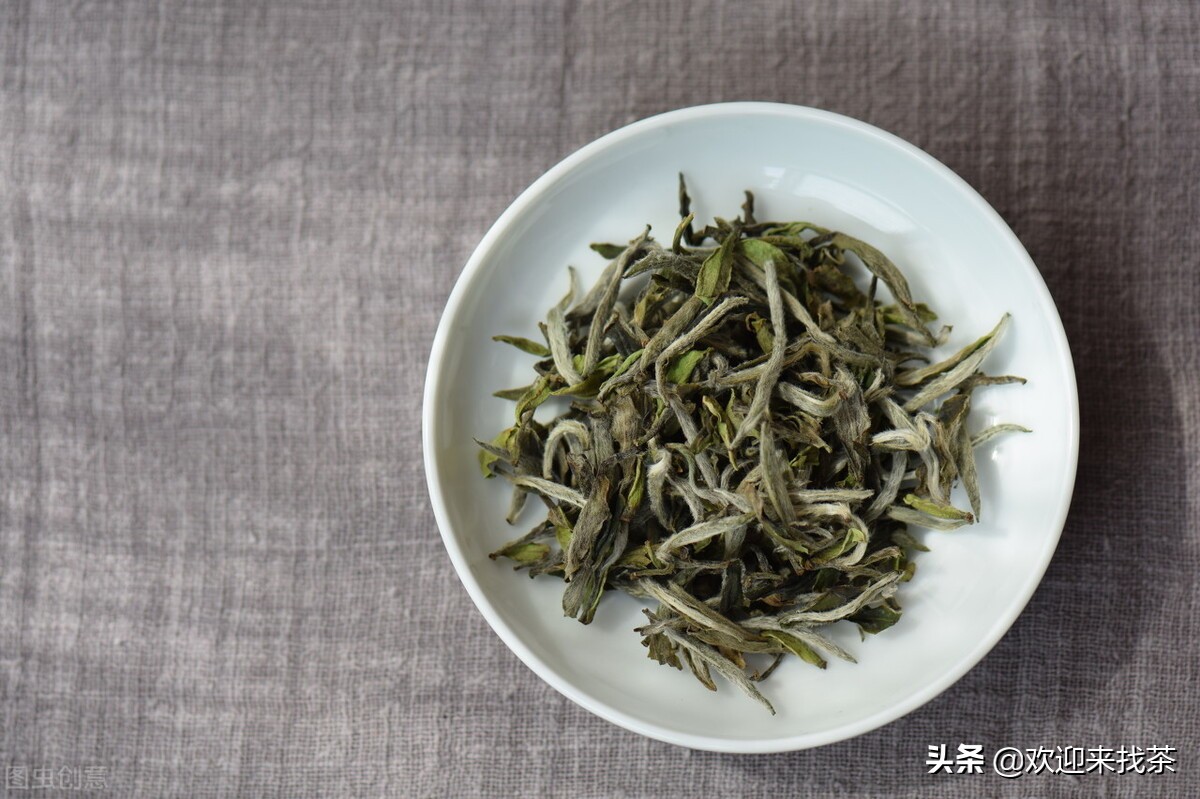 福建出名的茶叶是什么茶,福建名茶有哪些福建七大名茶介绍
