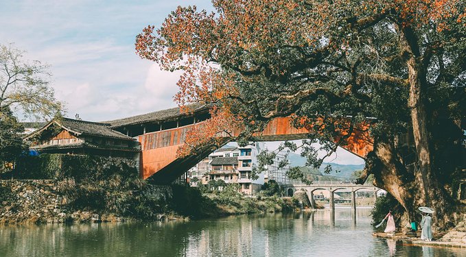 一起游玩泰顺,小众旅游泰顺