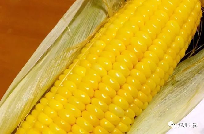 堪比满汉全席的幼儿园伙食,伙食特别好的幼儿园是哪一所