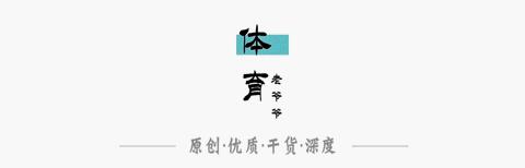 目前足坛最流行的阵型,532双后腰