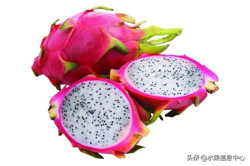 水果批发市场卖水果怎么收费,新手去水果批发市场的几大技巧