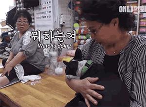 女主人这个部位天天被狗吮吸，男主人脸色铁青……