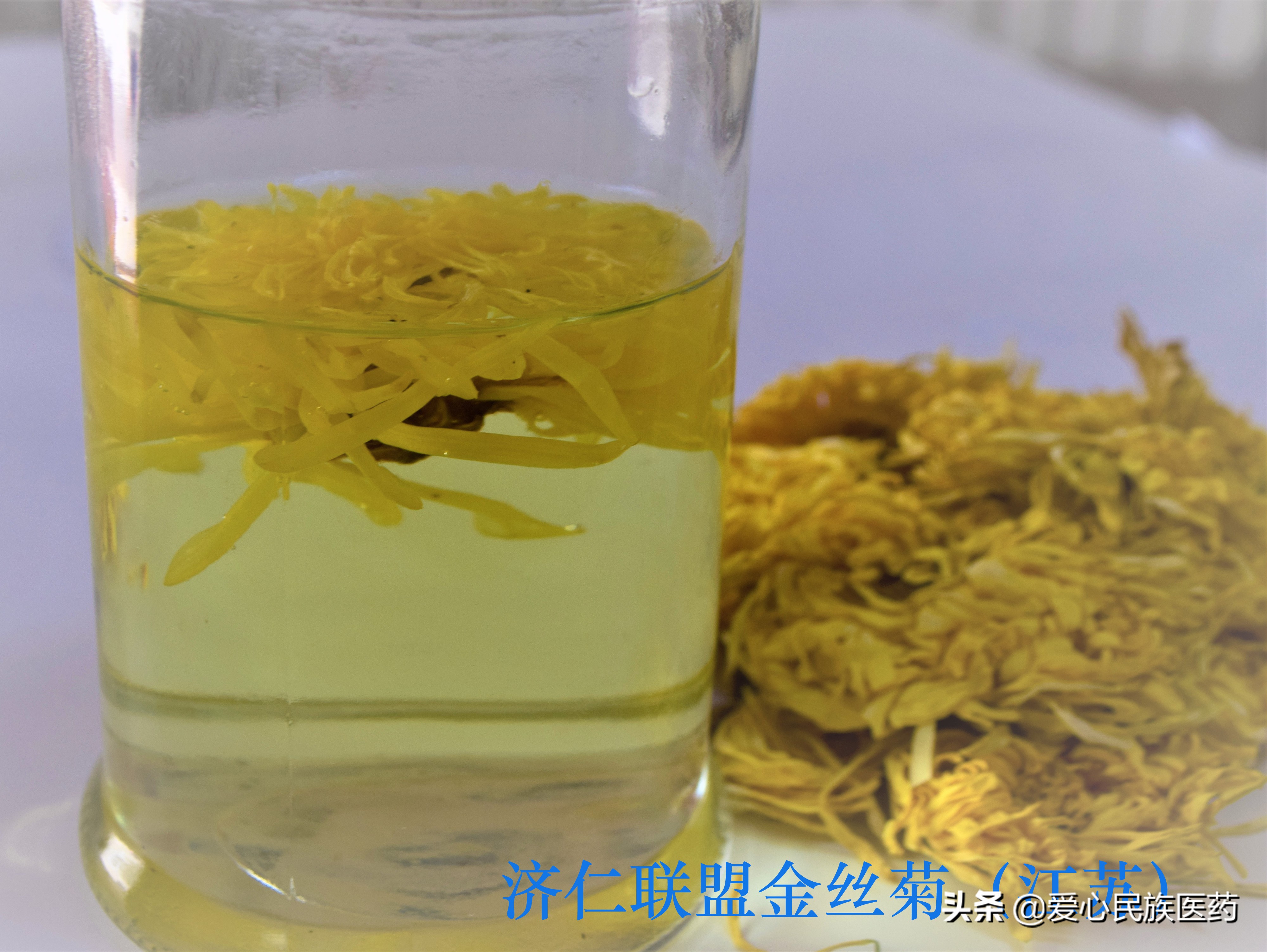 胎菊和金丝皇菊哪个泡水效果好,胎菊和玫瑰花能够一起吗