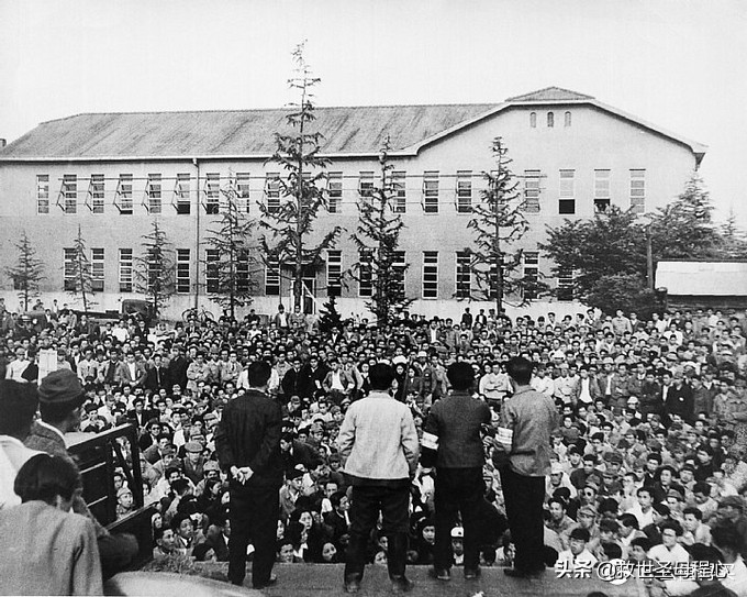 毫无用处的汽车知识篇64：日本汽车产业-丰田家族发展流水账